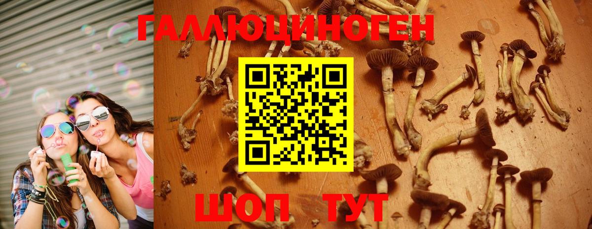 Аксай  Псилоцибиновые грибы Magic Shrooms  Вход с VPN  Псилоцибиновые грибы MAGIC MUSHROOMS 